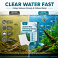 🐠 1 KAUFEN, 1 GRATIS DAZU! ✨ WASSERKLÄRER-PADS FÜR AQUARIEN – Kristallklares Wasser innerhalb von 24 Stunden, entfernt Gerüche und Verunreinigungen, sicher für alle Fische und Pflanzen 🌿🔮