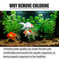 🐟 Chlorentfernungstabletten für Aquarium & Fischteich – Schnell, Sicher & Einfach