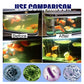 🐟 Chlorentfernungstabletten für Aquarium & Fischteich – Schnell, Sicher & Einfach