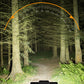 🚲 Wiederaufladbarer 28-LED-Fahrradscheinwerfer mit Hupe