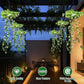 ☀️Solar-Efeu-Lichterkette mit künstlichen Blättern – wasserdicht, 8 Beleuchtungsmodi & flexibel – perfekt für Garten, Balkon & Wanddekoration 🌿💡