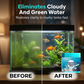 🐠 50 % RABATT – Aquarium-Reinigungstabletten | Kristallklares Wasser, effizient & sicher für Fische