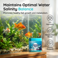 🐠 50 % RABATT – Aquarium-Reinigungstabletten | Kristallklares Wasser, effizient & sicher für Fische